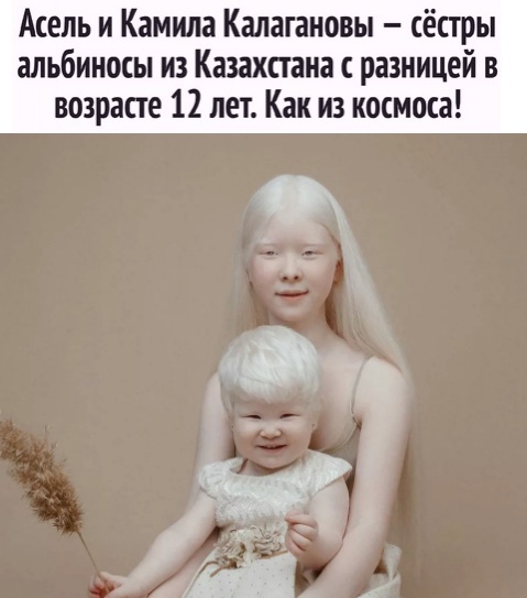 Картинки и мемы для настроения 12.08.2021