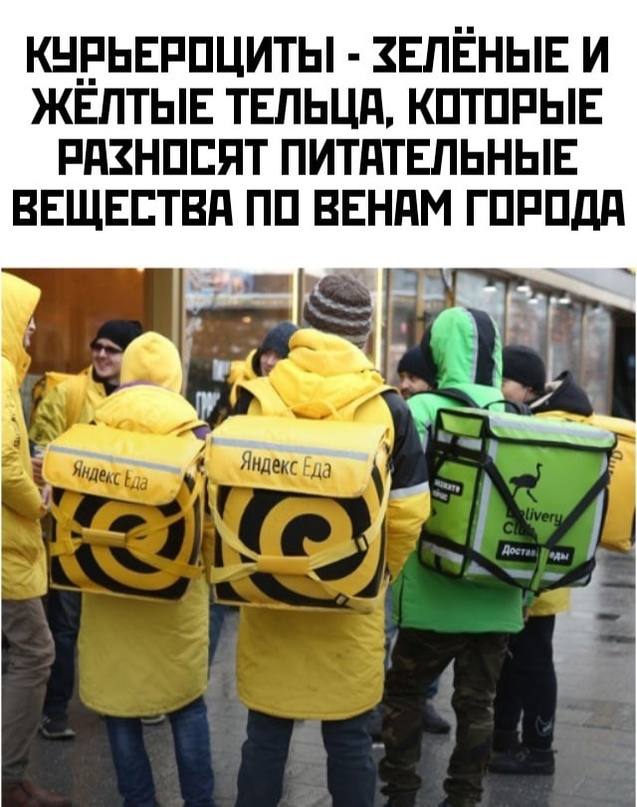 Весёлый полтишок 04.10