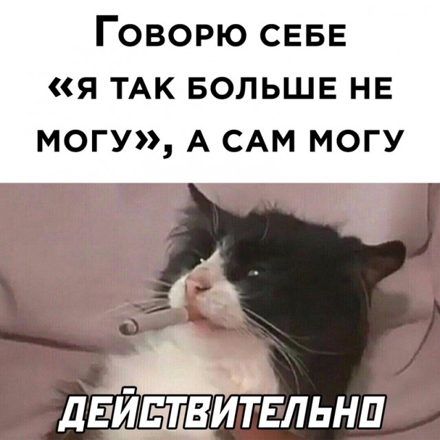 Картинки и мемы для настроения