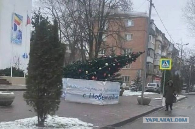 В Ростове на Дону упала главная городская ёлка