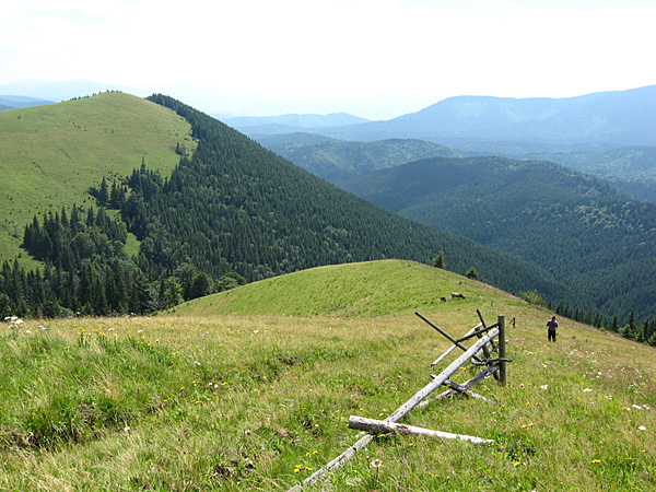 Красота Карпатских гор