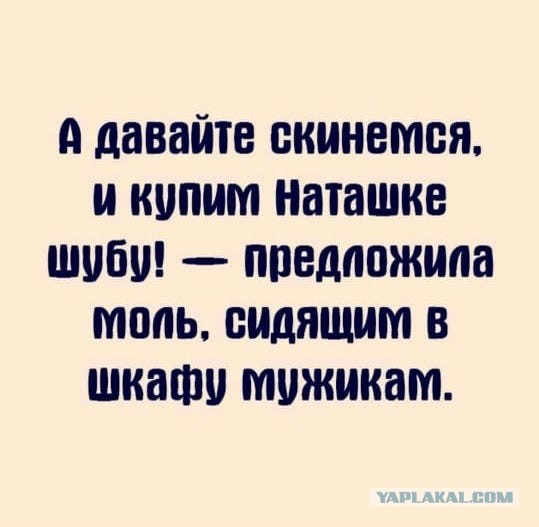 50 оттенков серого Vol.5 . Или самосвал баянов