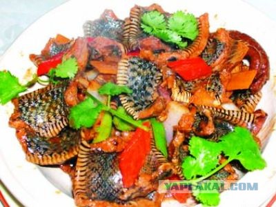 Нервная работёнка для сильных духом и телом