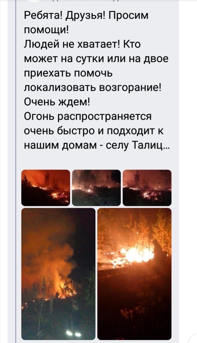 5000 людей смотрят на лесной пожар из окна, пожарные...тоже смотрят