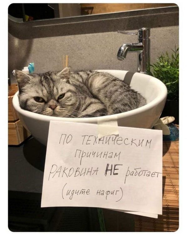 Так себе картинки 20.09.22