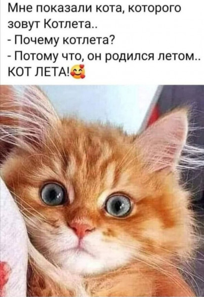 Так себе картинки 17.12.22