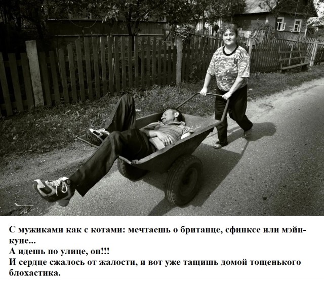 Весёлый полтишок 11.01.23