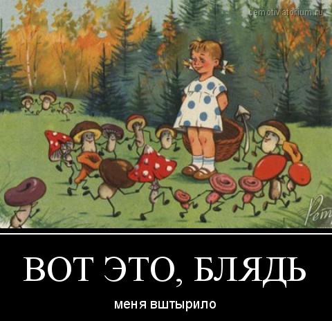 Прикольные и просто красивые картинки 10.02.2023