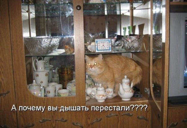 Твой самый сильный противник это ты сам!