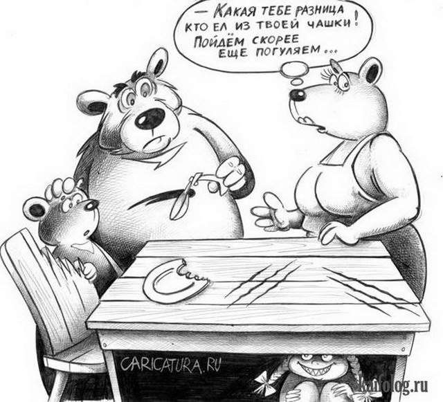 Рандомные анекдоты про медведя