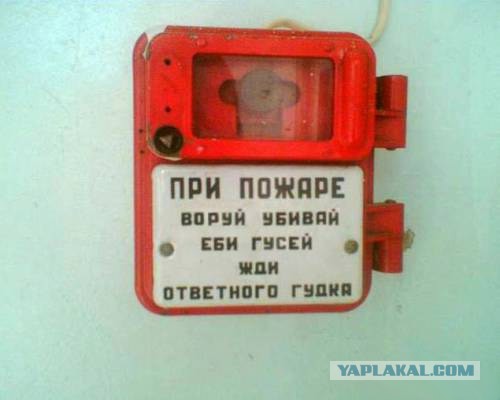 Я - Гусь. Я, пожалуй, съе*усь