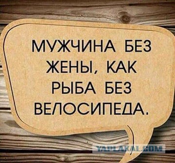 Выгнал нерадивую жену и был таков