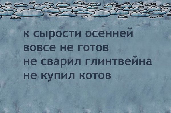 Весёлый полтишок 08.09.23