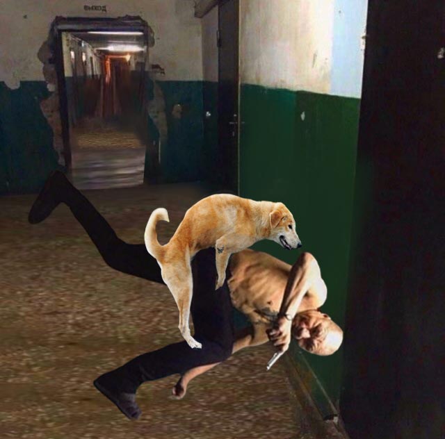 Фотожаба: "Монгол"
