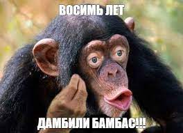 Израиль. Инстаграм-армия