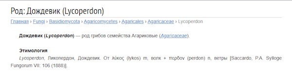 Всего понемногу. От 1.11.23