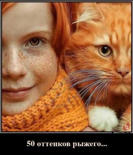 55 демотиваторов опять