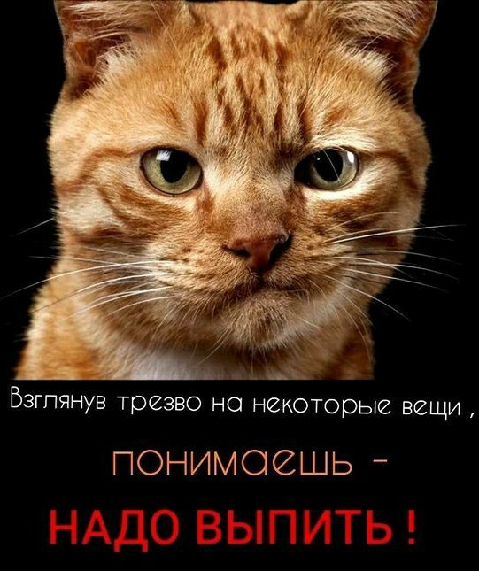Игривости немного, доброты
