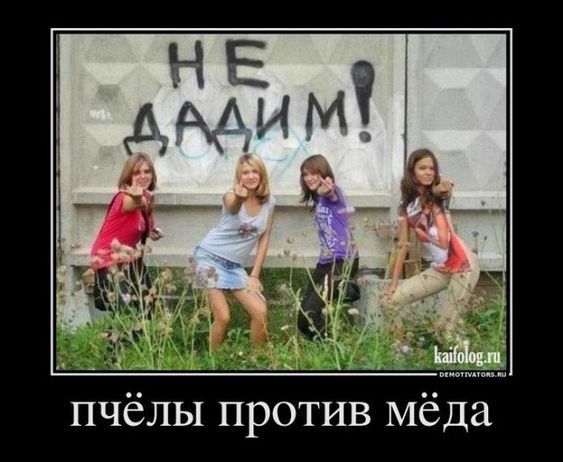 Прикольные и просто красивые картинки