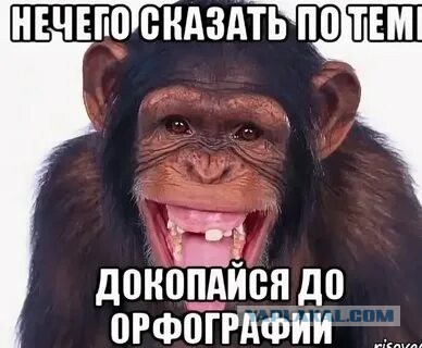 Пролетария ответ