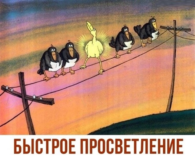 Так себе картинки 16.01.25