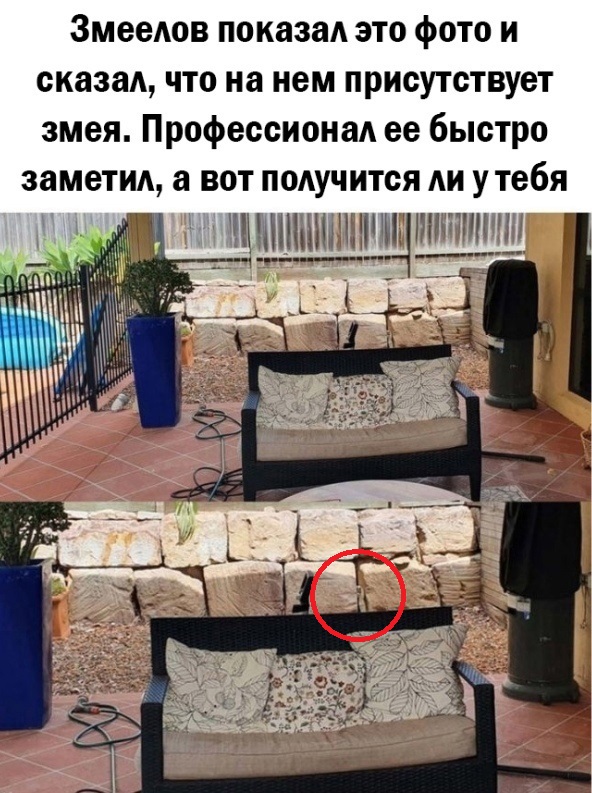 Так себе картинки 30.01.25