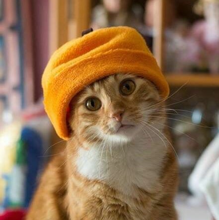 Шапочки