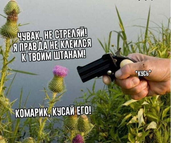 Жипеги и не совсем