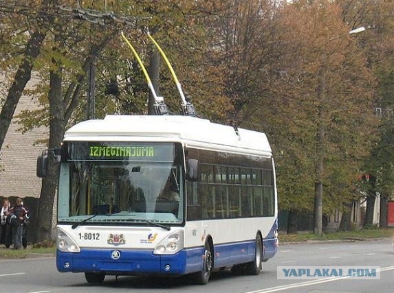 Самый массовый троллейбус мира