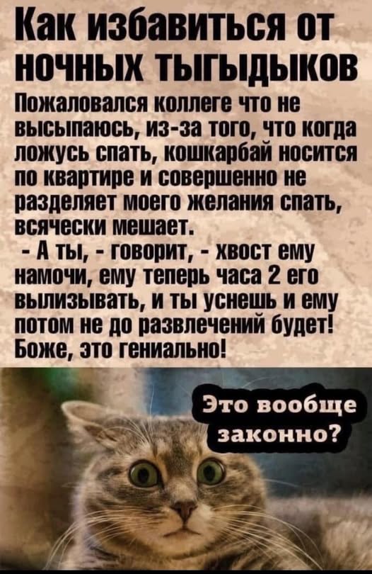 Воскресные картинки