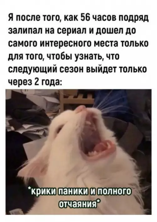 Картиночки, баянчики 17 февраля