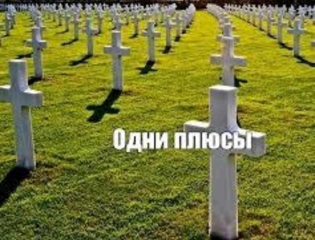 «Взгляните на корейских коллег как на пример дисциплины и трудолюбия. Перенимайте лучшее»