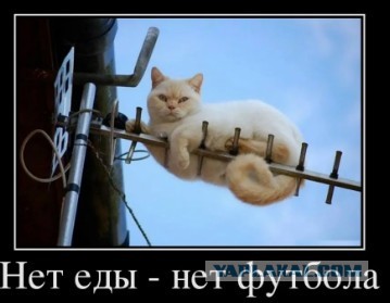 Это уже дело чести