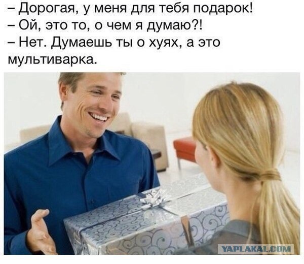 Калининградка увидела на подоконнике соседа подозрительное растение