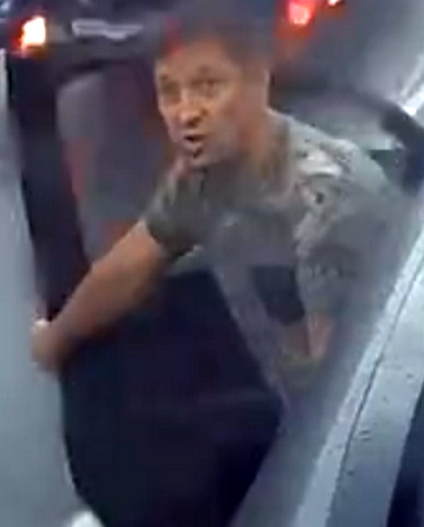 Даже собака возмутилась.