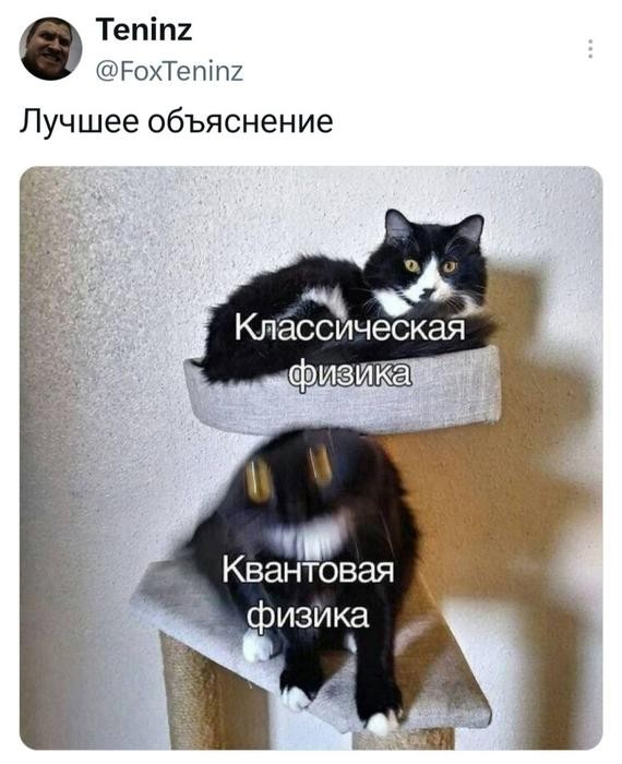 Картинки для деградации 258 ( разной степени свежести)