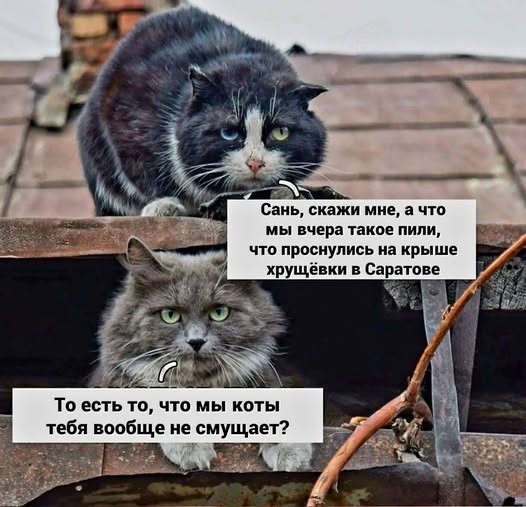 Картинки на среду