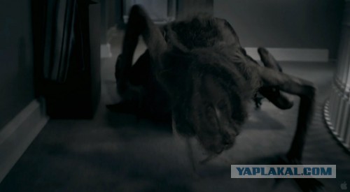 Беркова разделась за машину! Зацени! (18+)