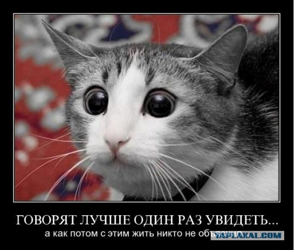 17-летний школьник на уроке
