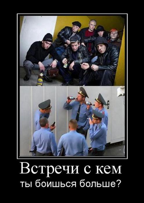 А я... а я... а я тебя тоже сфотографирую, вот!