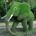 Добряки, плюсующие всех подряд