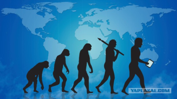 10 фактов о странностях эволюции человечества