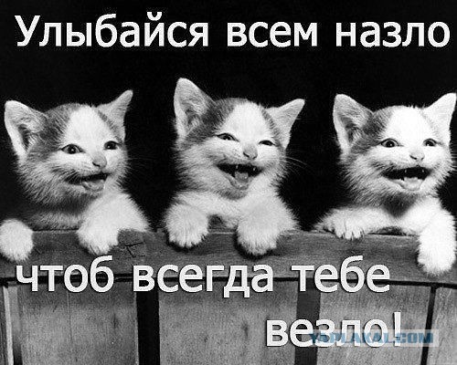 Поднимаем настроение