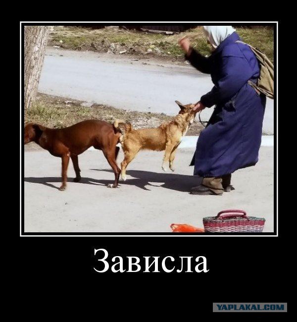 Демотиваторов пост