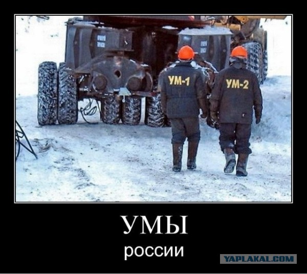 Свежие картинки из сети