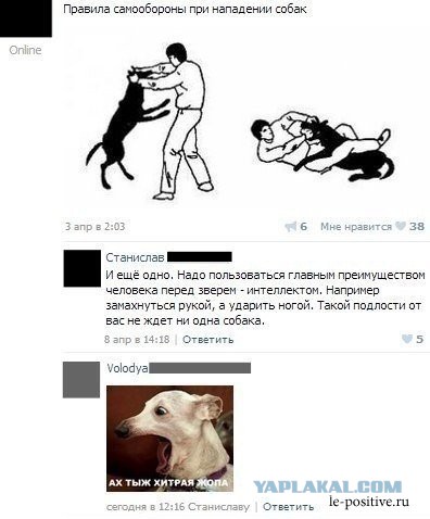 Делимся способами противодействия нападению стаи