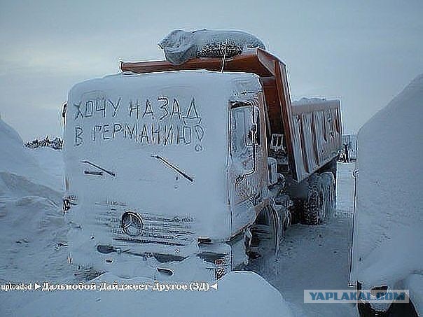 Надписи на авто.