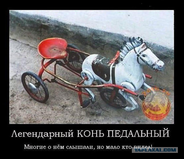 Демотиваторы вторника