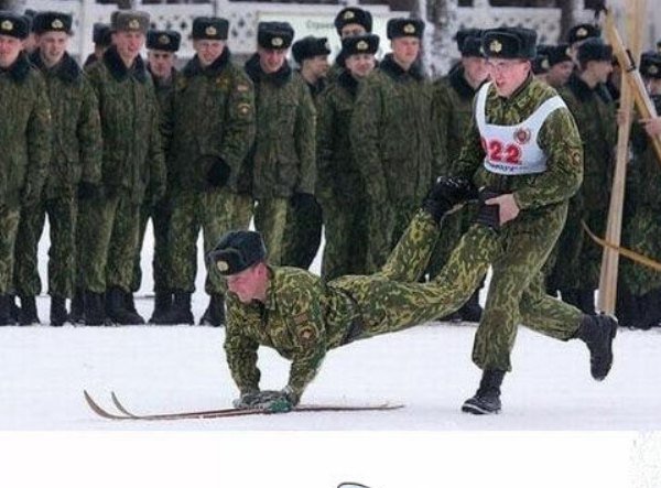 Весёлые картинки