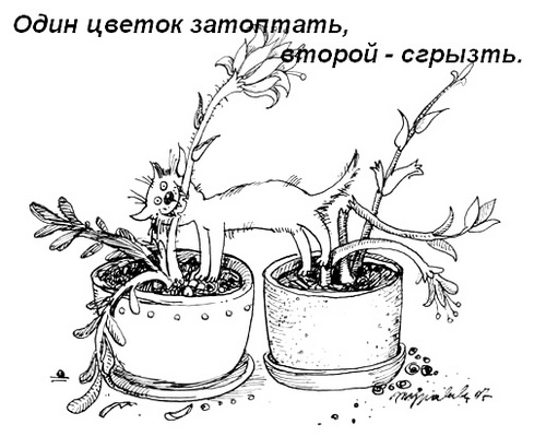 На самом деле так